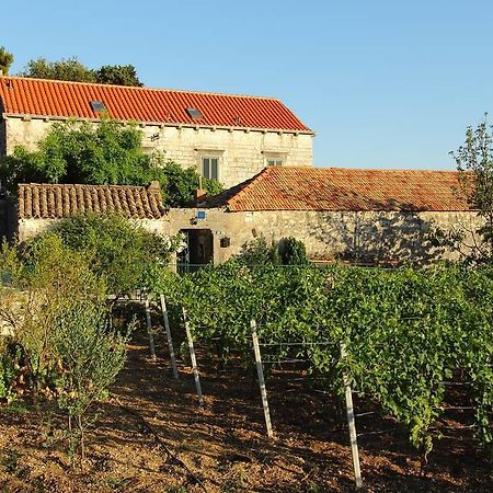Villa Violic زاتون المظهر الخارجي الصورة