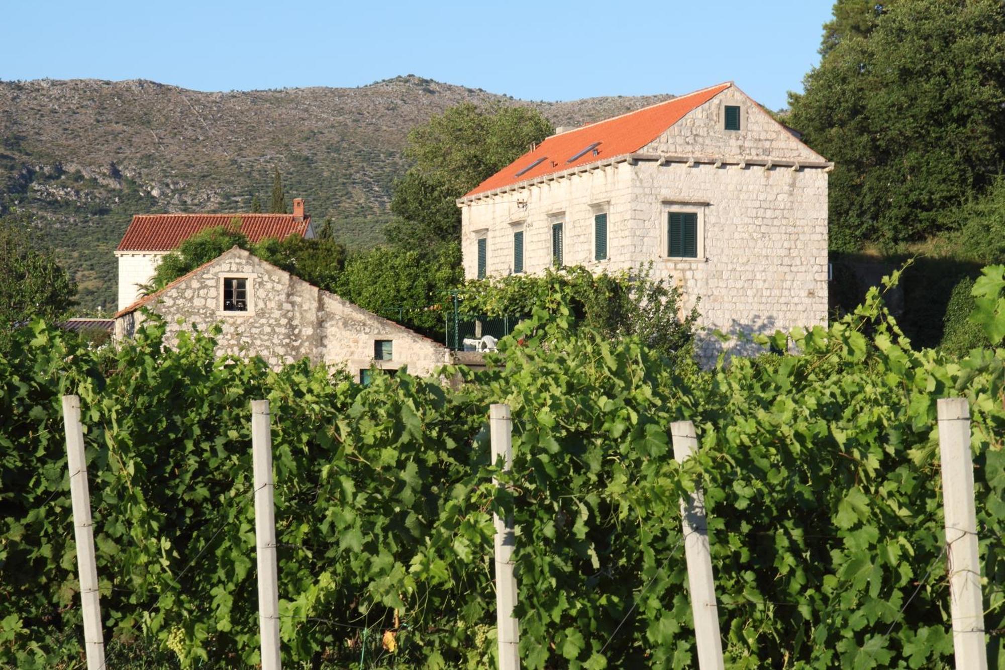 Villa Violic زاتون المظهر الخارجي الصورة